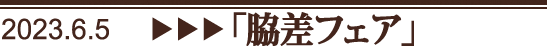 脇差フェア